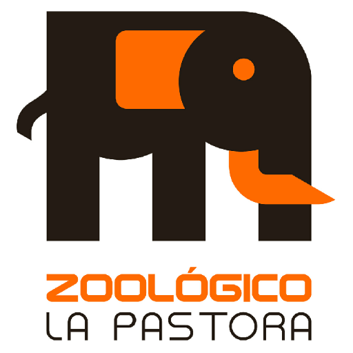 logo_46